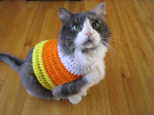 DIY Candy Cane Cat Sweater